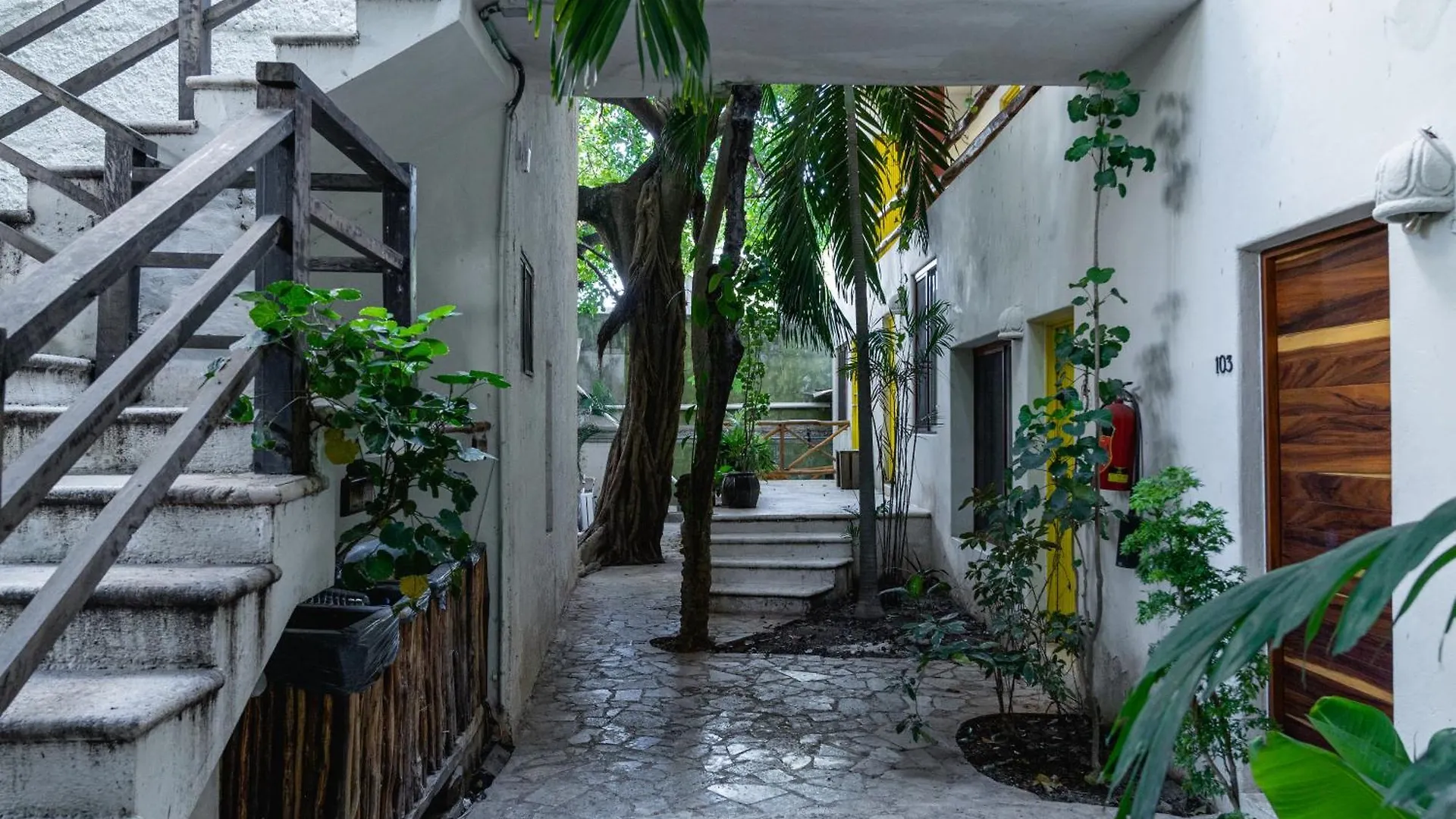 Rustik-Inn Rooms Playa del Carmen Mexico
